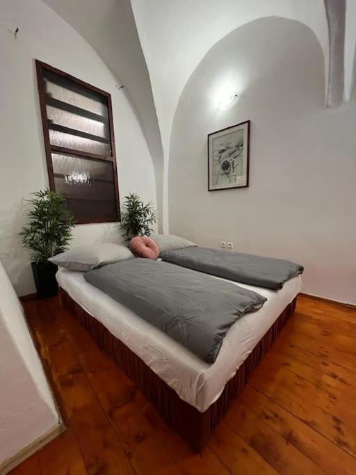 City Center Apartment Banská Bystrica Esterno foto